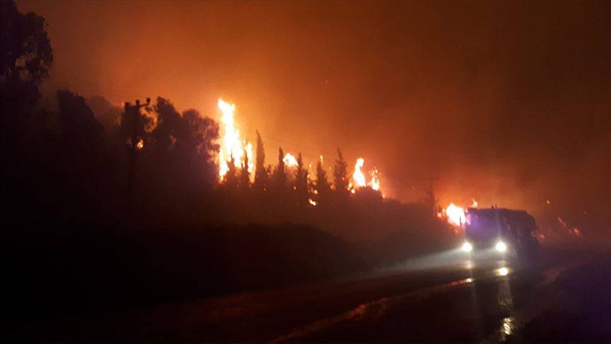 İzmir’in Menderes ilçesinde orman yangını! Alevler kontrol altına alınmaya çalışılıyor 9
